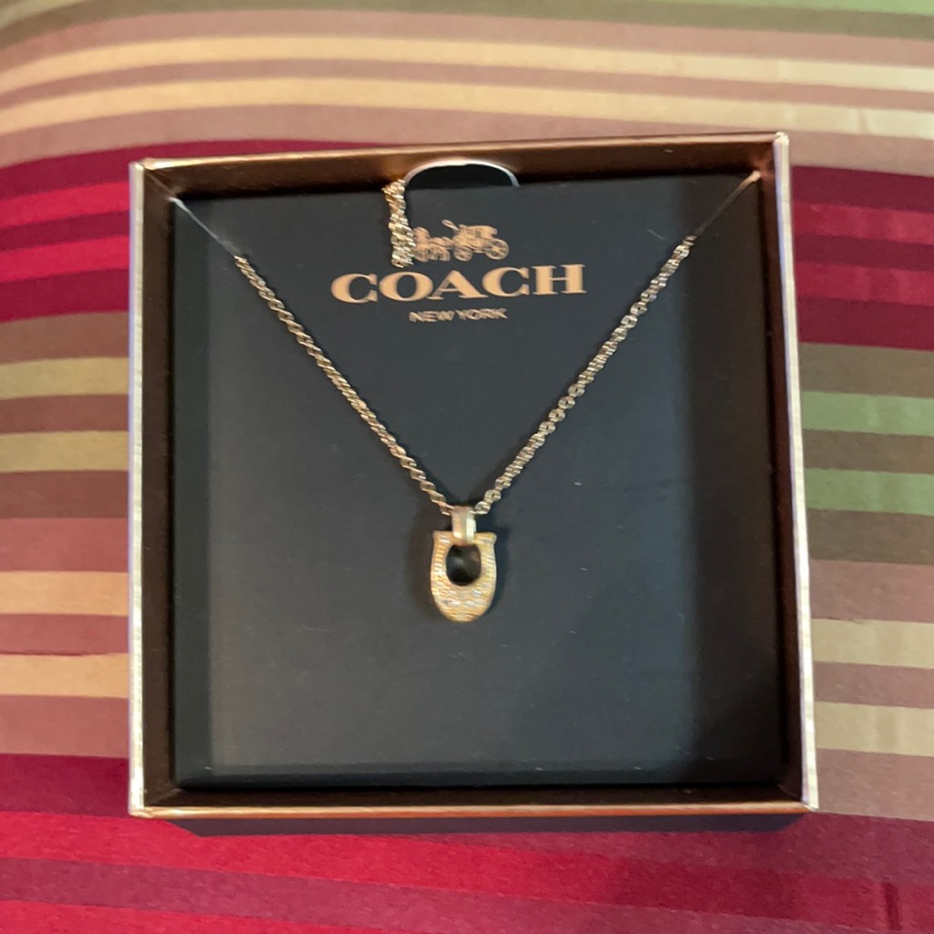 Necklace With Tag And Box